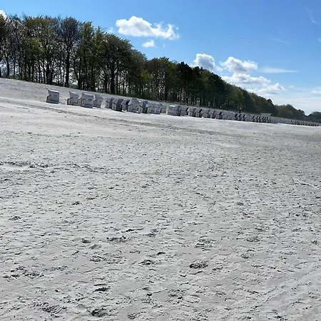 Gemuetliche-ferienwohnung-in-zingst 公寓 *